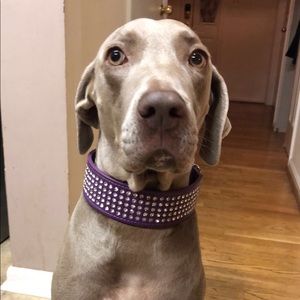 Meet your Posher, Nadia